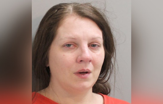 Woman Charged with Assault on Peace Officer After Disturbance Call in Harris County
