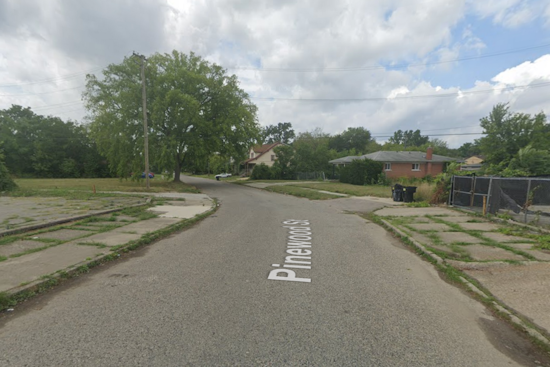 Woman Killed, Man Hospitalized in Early Morning Shooting in East Detroit; Police Seek Witnesses