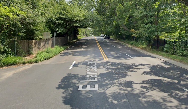 Woman Killed, Two Injured as Tree Falls on Vehicle in Wynnewood, Traffic Disrupted on Lancaster Avenue