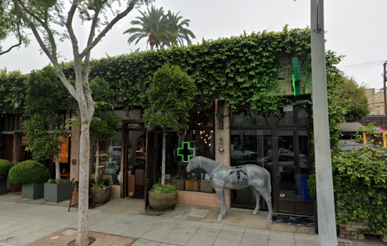 Woody Harrelson and Bill Maher's West Hollywood Cannabis Store Hit by Smash-and-Grab Burglary