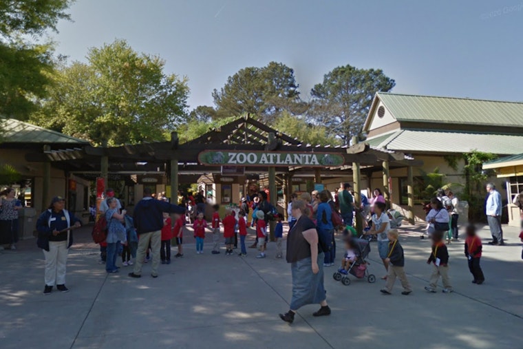 Zoo Atlanta Introduces Affordable $6 Admission for Georgia SNAP Families