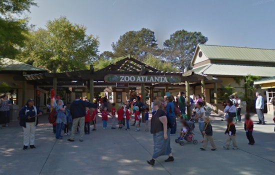 Zoo Atlanta Introduces Affordable $6 Admission for Georgia SNAP Families