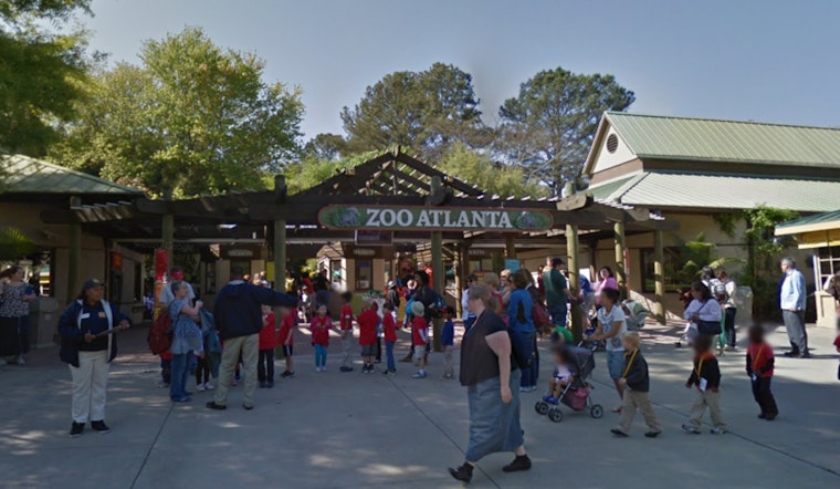 Zoo Atlanta Introduces Affordable $6 Admission for Georgia SNAP Families