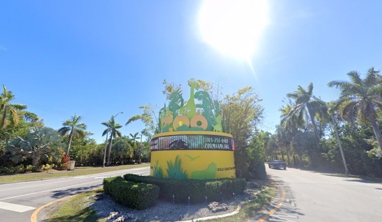 Zoo Miami Celebrates Birth of Rare Birds Including Cinereous Vultures and Harpy Eagles Ahead of Mother's Day
