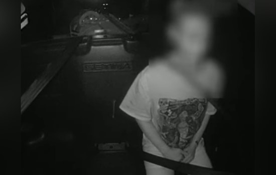 18-Year-Old Charged with Assault, Felony Eluding After Alleged Rock-Throwing Incident in Pierce County