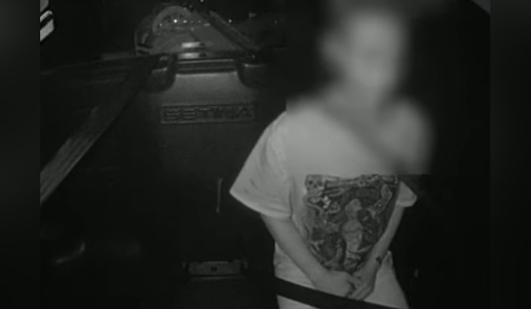 18-Year-Old Charged with Assault, Felony Eluding After Alleged Rock-Throwing Incident in Pierce County