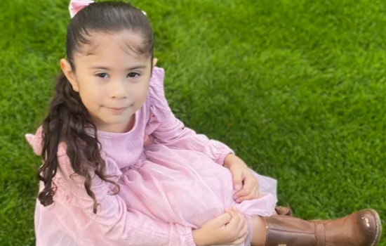 5-Year-Old Girl Fatally Shot by Brother, Father Charged with Weapons Possession