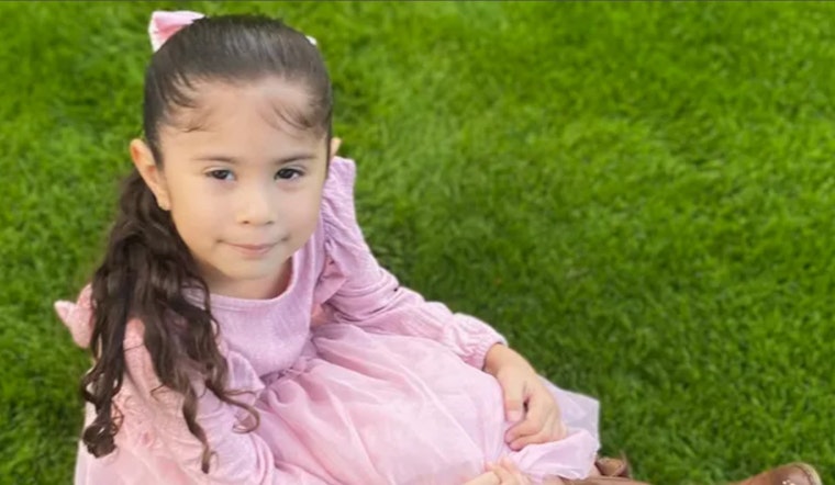 5-Year-Old Girl Fatally Shot by Brother, Father Charged with Weapons Possession