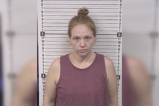 9-Month-Old Hospitalized After Drug Overdose and Dog Attack in North Carolina, Mother Charged with Felony Child Abuse