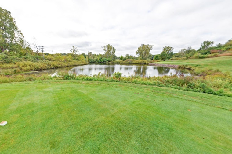 Ann Arbor Community Outcry as Beavers Euthanized Over Golf Course Concerns