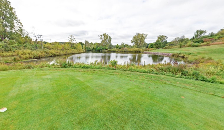Ann Arbor Community Outcry as Beavers Euthanized Over Golf Course Concerns