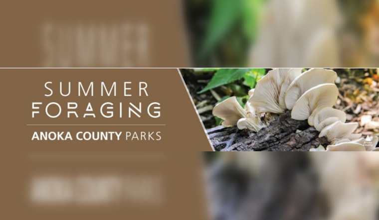 Anoka County Parks Invites Residents to Explore Nature with Summer Foraging Session and July Activity Line-Up