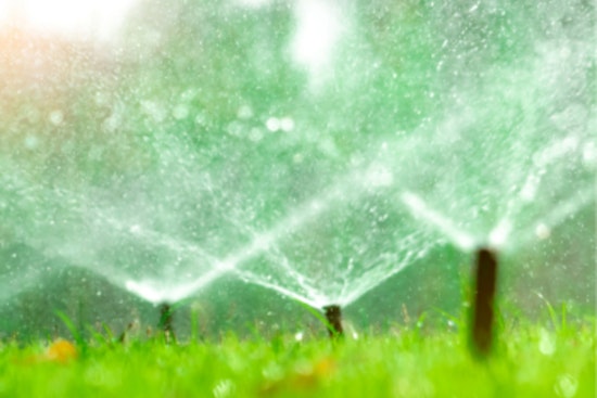 Apple Valley Imposes Lawn Watering Restrictions to Conserve Water Amidst Soaring Summer Temperatures