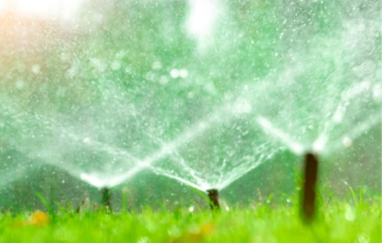 Apple Valley Imposes Lawn Watering Restrictions to Conserve Water Amidst Soaring Summer Temperatures