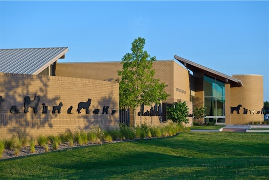 Arlington Animal Services Halts Intake of Owner-Surrendered Pets Amid Overcapacity Issues
