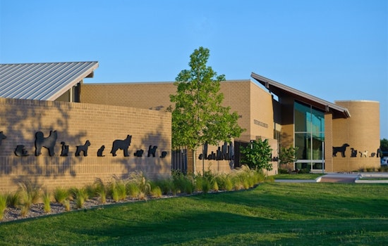Arlington Animal Services Halts Intake of Owner-Surrendered Pets Amid Overcapacity Issues