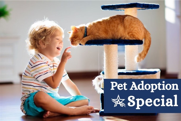 Arlington Animal Services Slashes Adoption Fees Amid Overcrowding, Urges Public to Help