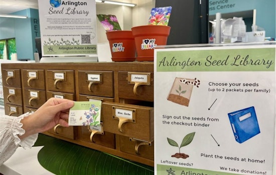 Arlington Public Library Revives Seed Library Initiative for Gardeners