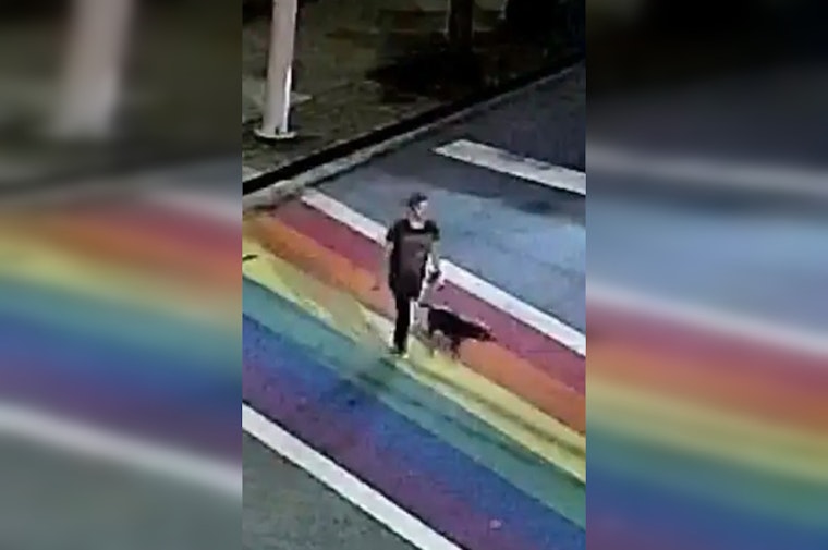 Atlanta Police Renew Plea for Clues in Unresolved Piedmont Park Murder of Katherine Janness and Dog