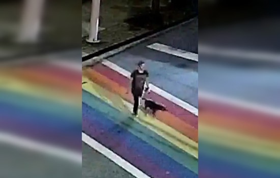 Atlanta Police Renew Plea for Clues in Unresolved Piedmont Park Murder of Katherine Janness and Dog