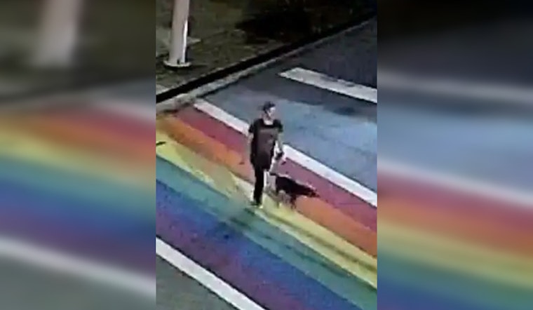 Atlanta Police Renew Plea for Clues in Unresolved Piedmont Park Murder of Katherine Janness and Dog