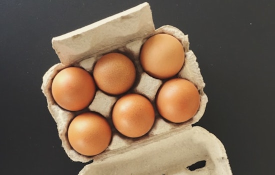 August Egg Company Recalls Over 1.7 Million Dozens of Eggs Across Nine States Amid Salmonella Scare