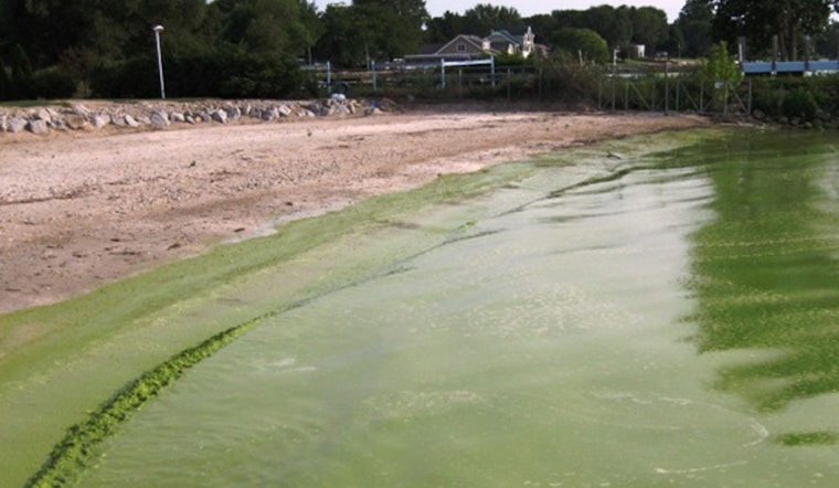 Austin Advances to Final Phase in Battle Against Lady Bird Lake Algae