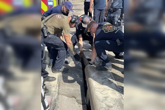 Austin Firefighters Heroically Extract Man Trapped in South Austin Storm Drain