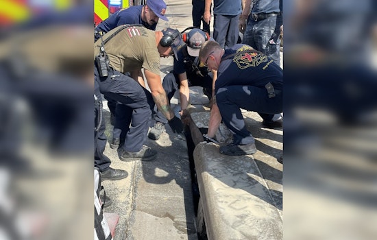 Austin Firefighters Heroically Extract Man Trapped in South Austin Storm Drain