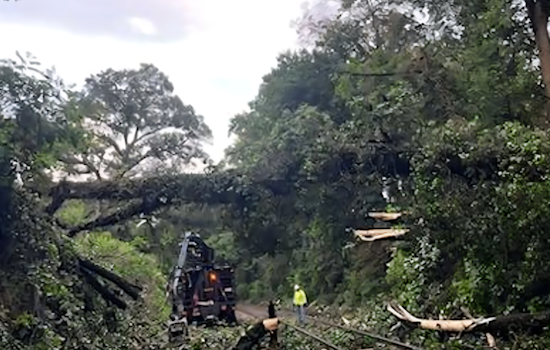 Baltimore's MARC Train Service Disrupted, Brunswick and Camden Lines Affected After Severe Storms