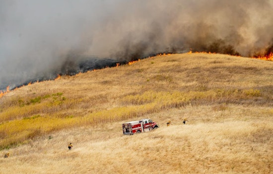 Bay Area Firefighters Unite to Tame 62-Acre Rodeo Wildfire Near Homes and Highway 4