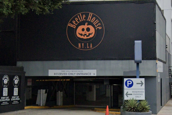 Beetle House LA Teeters on the Edge of Closure, Hollywood's Beloved Halloween Haven Faces Financial Woes