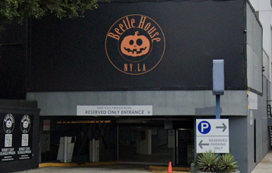 Beetle House LA Teeters on the Edge of Closure, Hollywood's Beloved Halloween Haven Faces Financial Woes