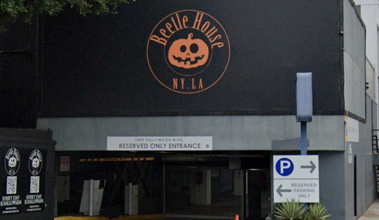 Beetle House LA Teeters on the Edge of Closure, Hollywood's Beloved Halloween Haven Faces Financial Woes