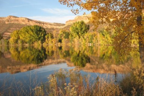 Body Found at Watson Lake Linked to Missing Person's Case, Larimer County Community Awaits Identification and Answers