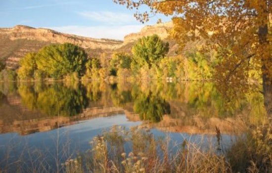 Body Found at Watson Lake Linked to Missing Person's Case, Larimer County Community Awaits Identification and Answers
