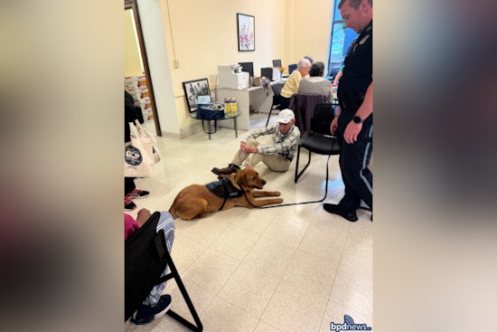 Boston Police Engage with Brighton Seniors, Spread Joy with Visit and Comfort Dog Copper