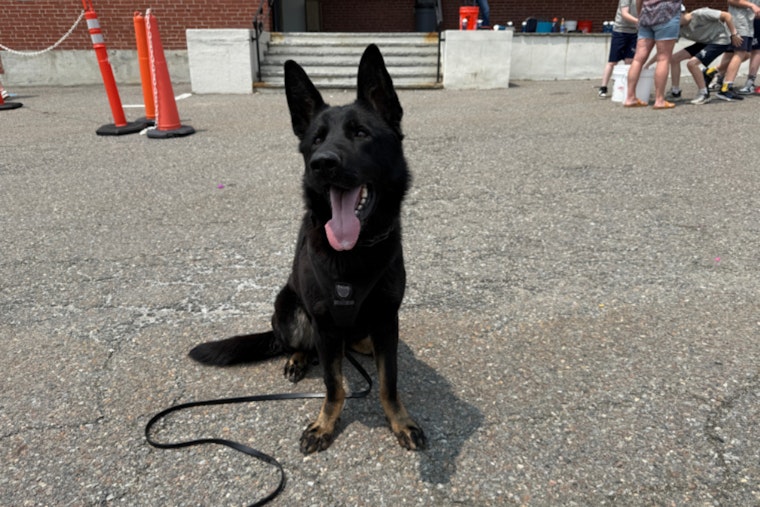 Boston Police K-9 Unit Impresses at Holy Name Parish School Field Day Amid Community Engagement Efforts
