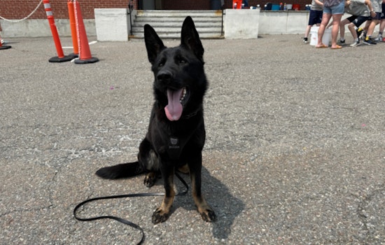 Boston Police K-9 Unit Impresses at Holy Name Parish School Field Day Amid Community Engagement Efforts