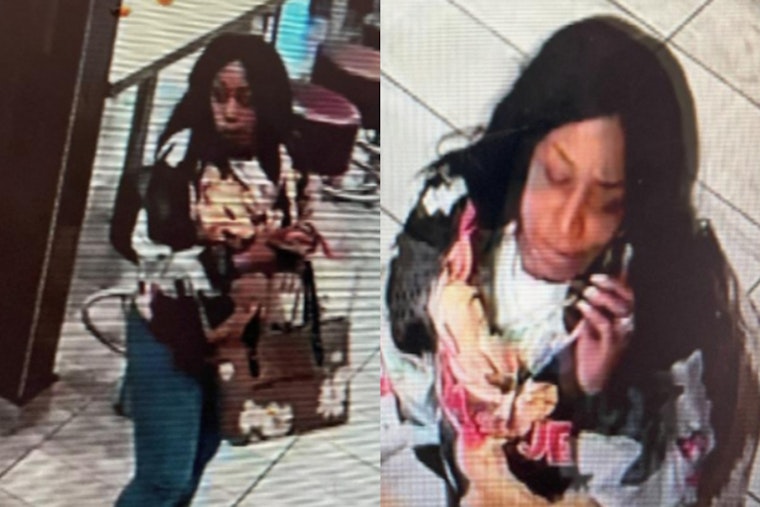 Boston Police Seek Public Assistance to Identify Suspect in Roxbury Robbery Incident