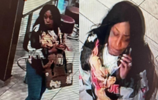 Boston Police Seek Public Assistance to Identify Suspect in Roxbury Robbery Incident