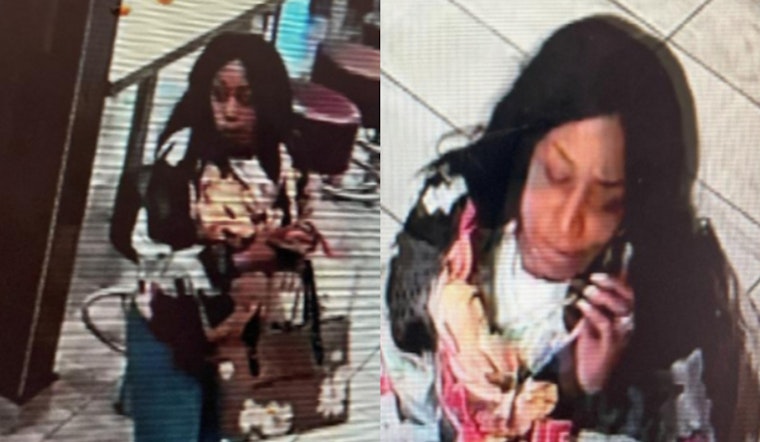 Boston Police Seek Public Assistance to Identify Suspect in Roxbury Robbery Incident
