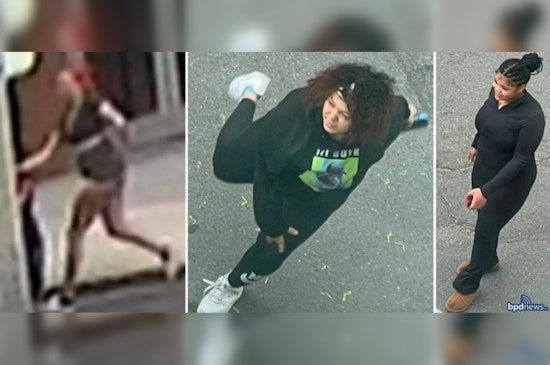 Boston Police Seek Public's Assistance to Identify Suspects in Roxbury Vandalism Incident