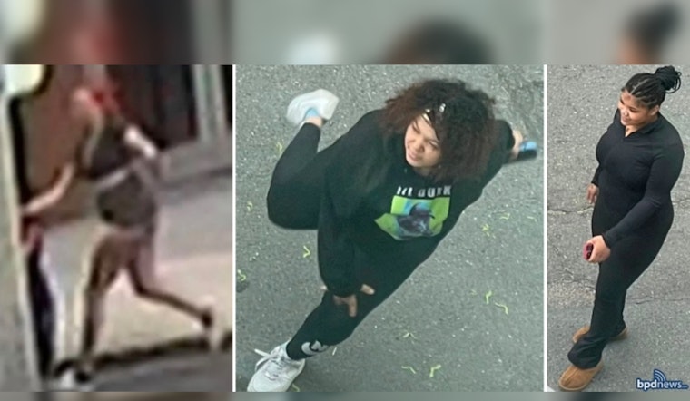 Boston Police Seek Public's Assistance to Identify Suspects in Roxbury Vandalism Incident
