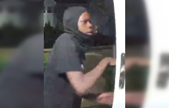 Boston Police Seek Public's Help Identifying Suspect in Attempted Dorchester Break-In