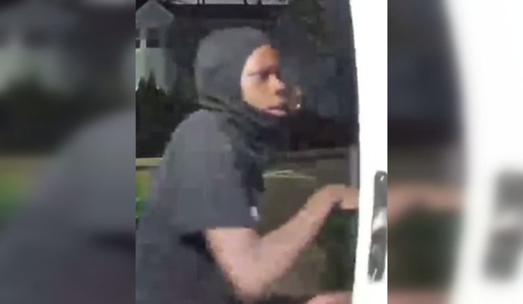 Boston Police Seek Public's Help Identifying Suspect in Attempted Dorchester Break-In