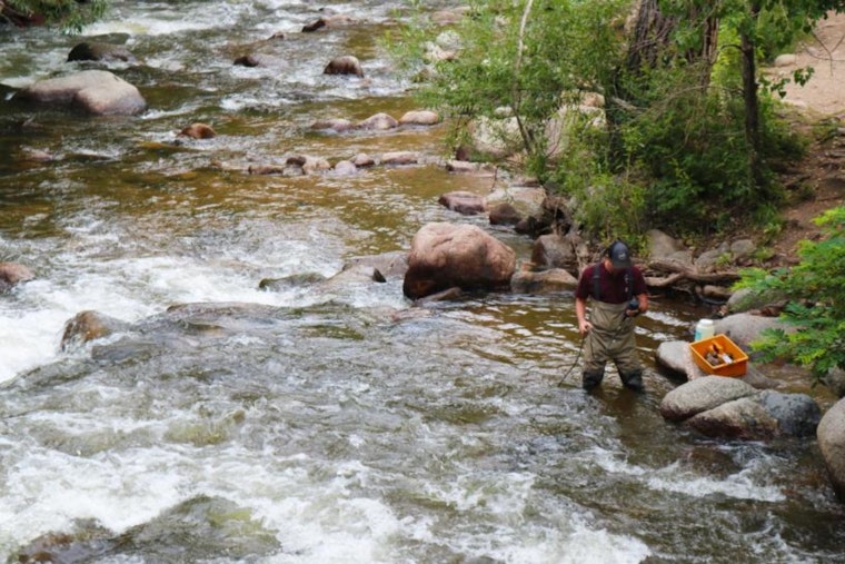 Boulder Addresses E. coli in Creek Waters with Updated Safety Guidelines and Monitoring Plan