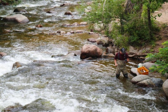 Boulder Addresses E. coli in Creek Waters with Updated Safety Guidelines and Monitoring Plan