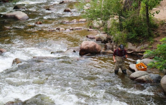 Boulder Addresses E. coli in Creek Waters with Updated Safety Guidelines and Monitoring Plan