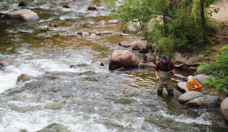 Boulder Addresses E. coli in Creek Waters with Updated Safety Guidelines and Monitoring Plan